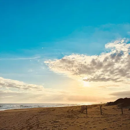 Playa * Oliva